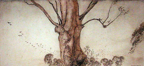 芭芭拉的树（纸上钢笔、墨水和水彩画 作者 亚瑟·拉克汉姆（Arthur Rackham）
