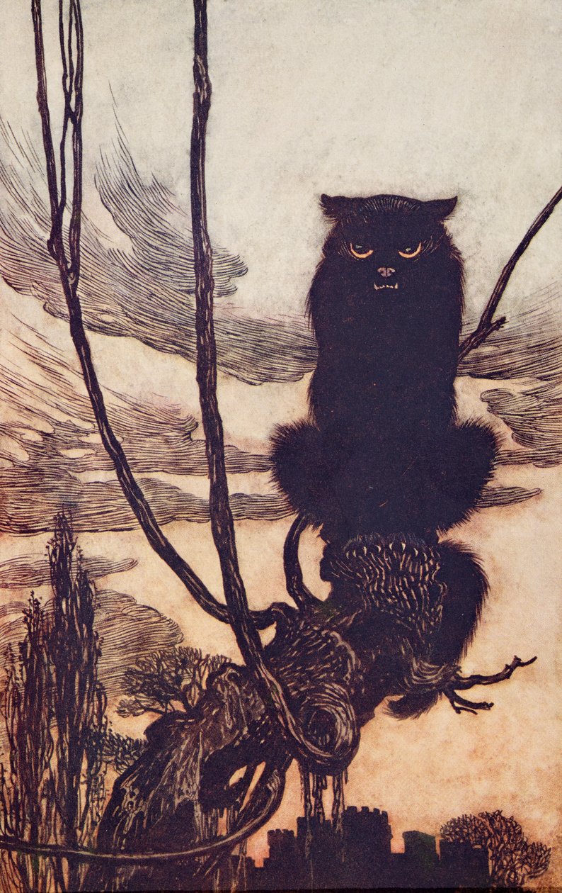 白天她把自己变成了一只猫？来自格林兄弟的童话故事吧。 1909年 作者 亚瑟·拉克汉姆（Arthur Rackham）