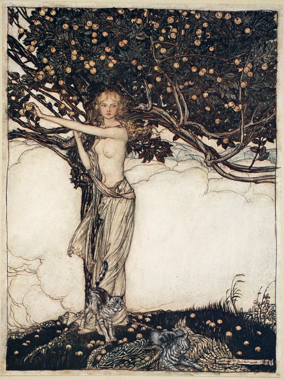 芙蕾雅，美丽的人》，1910年 作者 亚瑟·拉克汉姆（Arthur Rackham）