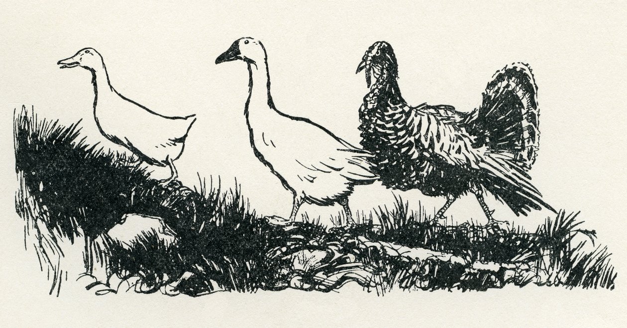亨尼-彭尼 作者 亚瑟·拉克汉姆（Arthur Rackham）