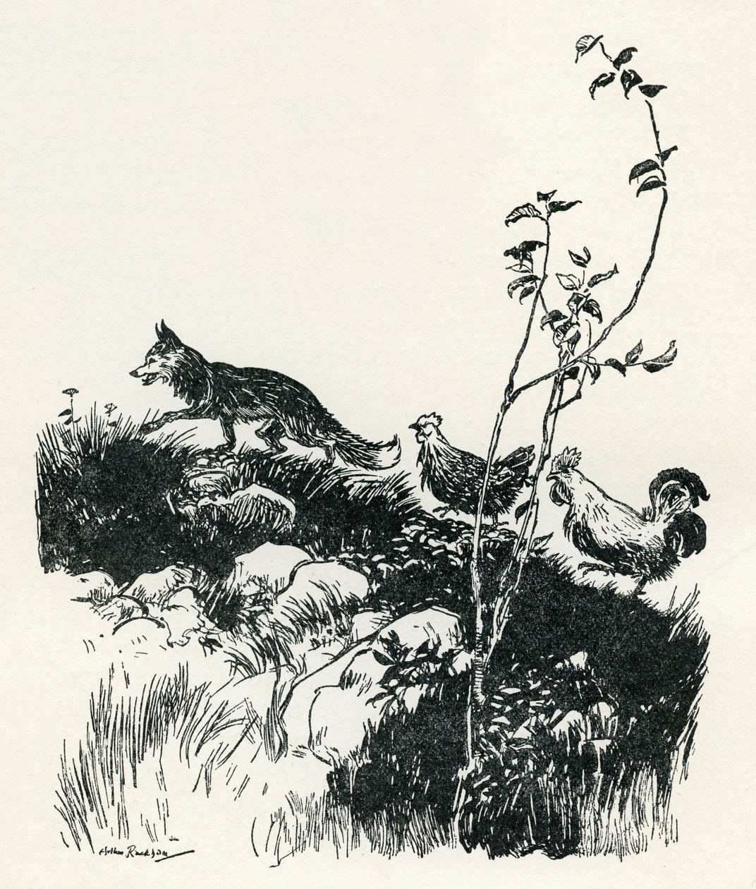 亨尼-彭尼 作者 亚瑟·拉克汉姆（Arthur Rackham）