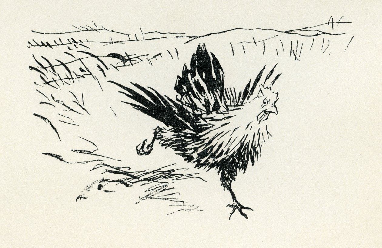 亨尼-彭尼 作者 亚瑟·拉克汉姆（Arthur Rackham）