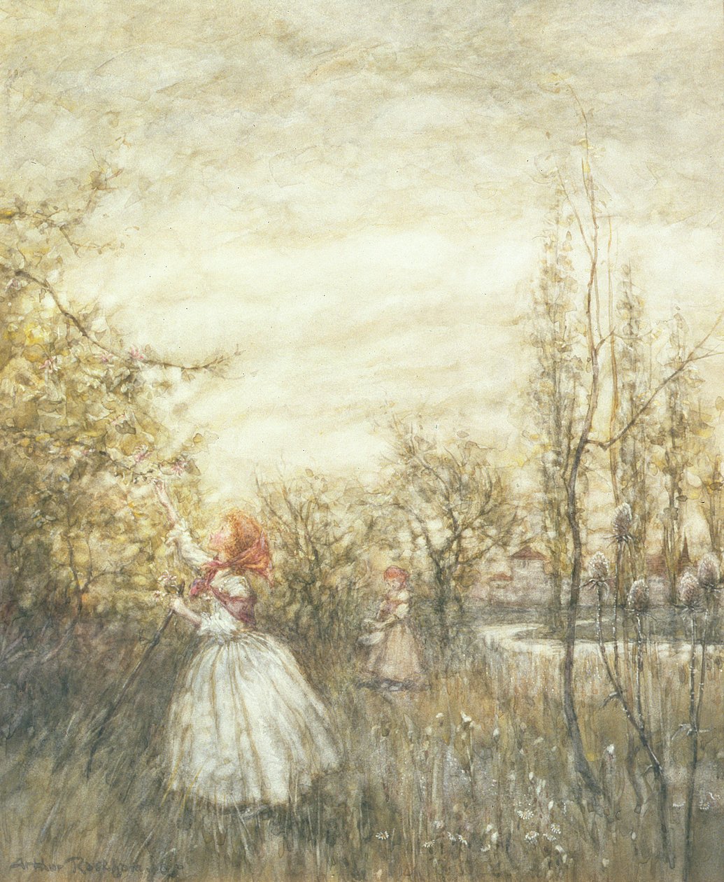 金银花，1905年（wc用白色加高并在纸上停下来） 作者 亚瑟·拉克汉姆（Arthur Rackham）