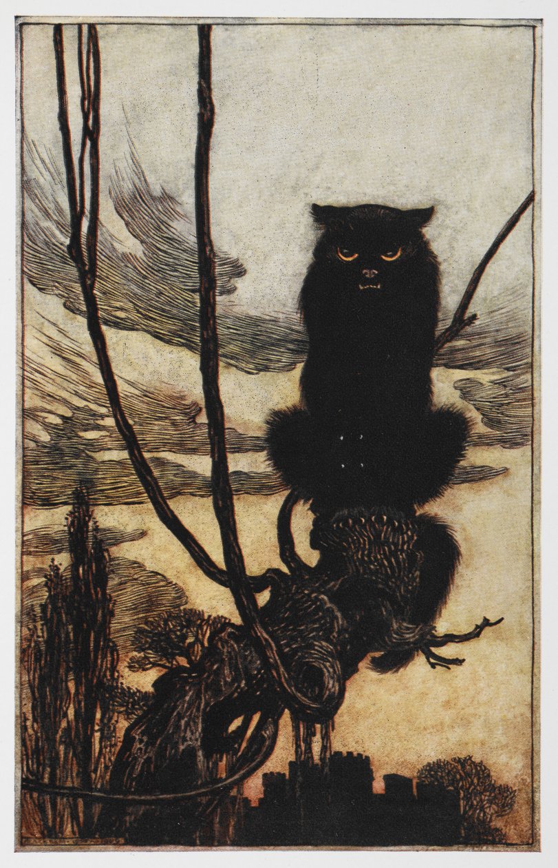 Jorinda 和 Joringel 绘制的黑猫插图。 作者 亚瑟·拉克汉姆（Arthur Rackham）