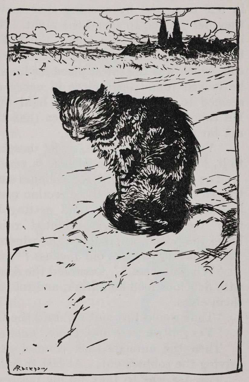 不来梅城镇音乐家》中的猫的插图。 作者 亚瑟·拉克汉姆（Arthur Rackham）