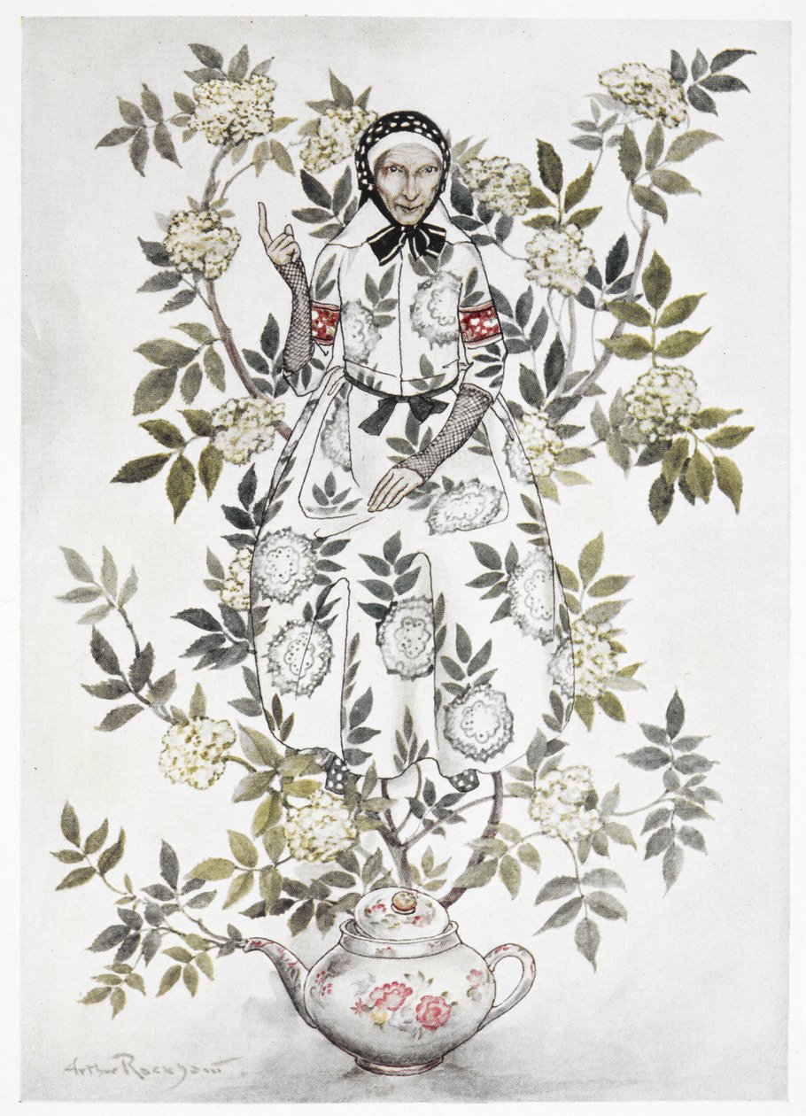 一棵树中间坐着一个看上去和蔼可亲的女人。 从茶壶里长出来的大植物。 一位老妇人在树枝间。 “接骨木树母亲”的彩色插图。 作者 亚瑟·拉克汉姆（Arthur Rackham）