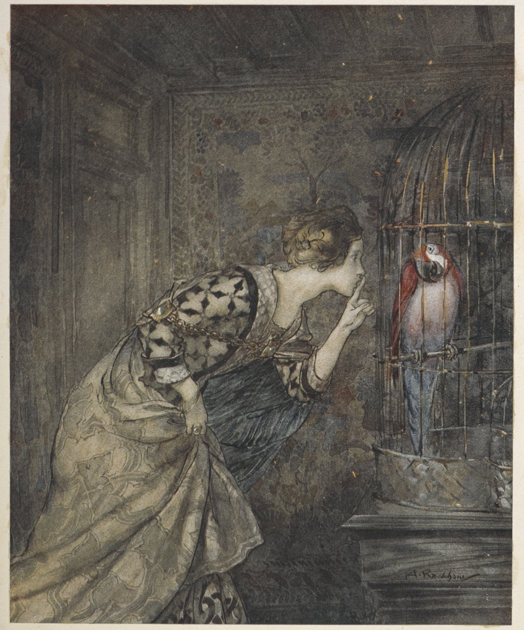 梅-科尔文和笼子里的鹦鹉 作者 亚瑟·拉克汉姆（Arthur Rackham）