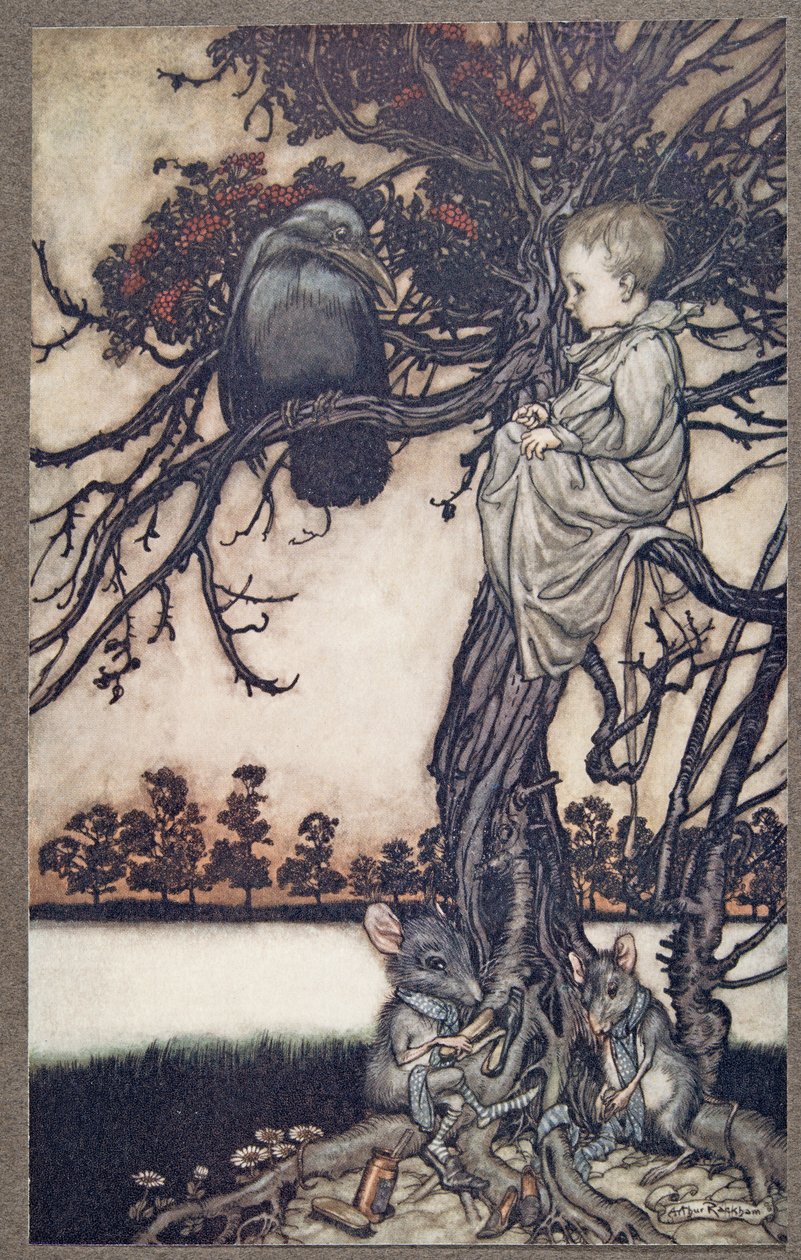 将他的奇怪案例放在Old Solomon Caw之前，由JM Barrie（1860  -  1937年）在肯辛顿花园的Peter Pan，酒吧。 1906年 作者 亚瑟·拉克汉姆（Arthur Rackham）