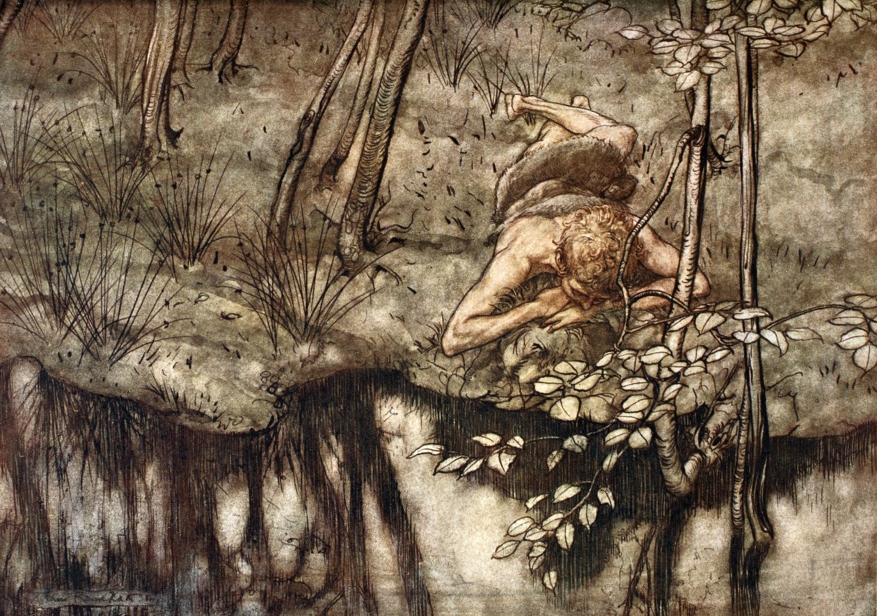 齐格弗里德在溪水中看到自己》，1924年。   作者 亚瑟·拉克汉姆（Arthur Rackham）