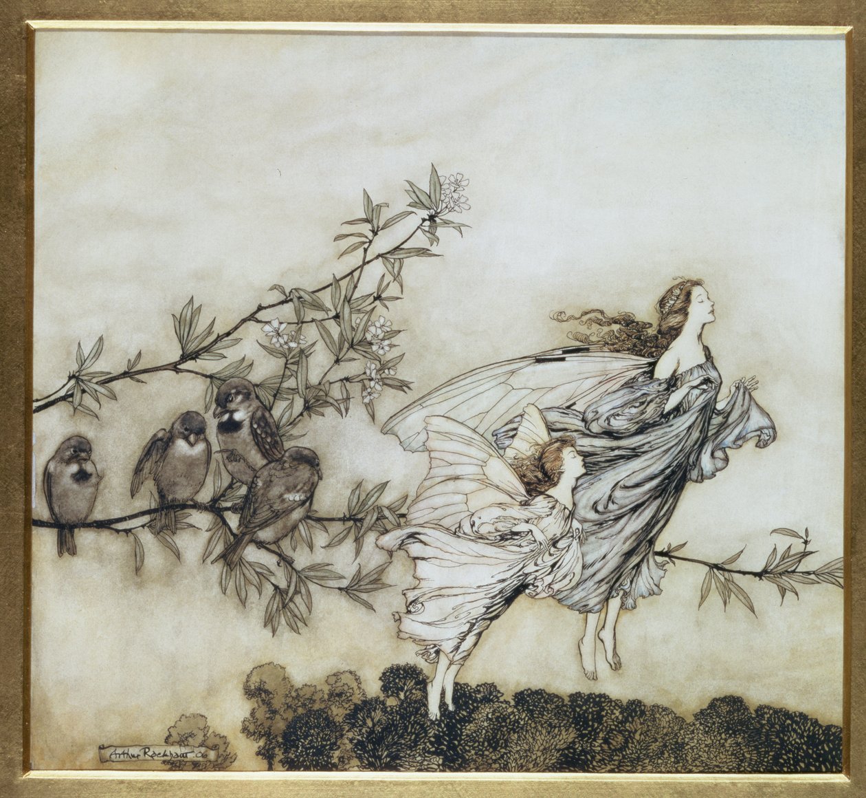 仙女有他们的Tiff with the Birds，1906年插图为肯辛顿花园的Peter Pan by JM Barrie，pub。 1906年（墨水和厕所） 作者 亚瑟·拉克汉姆（Arthur Rackham）