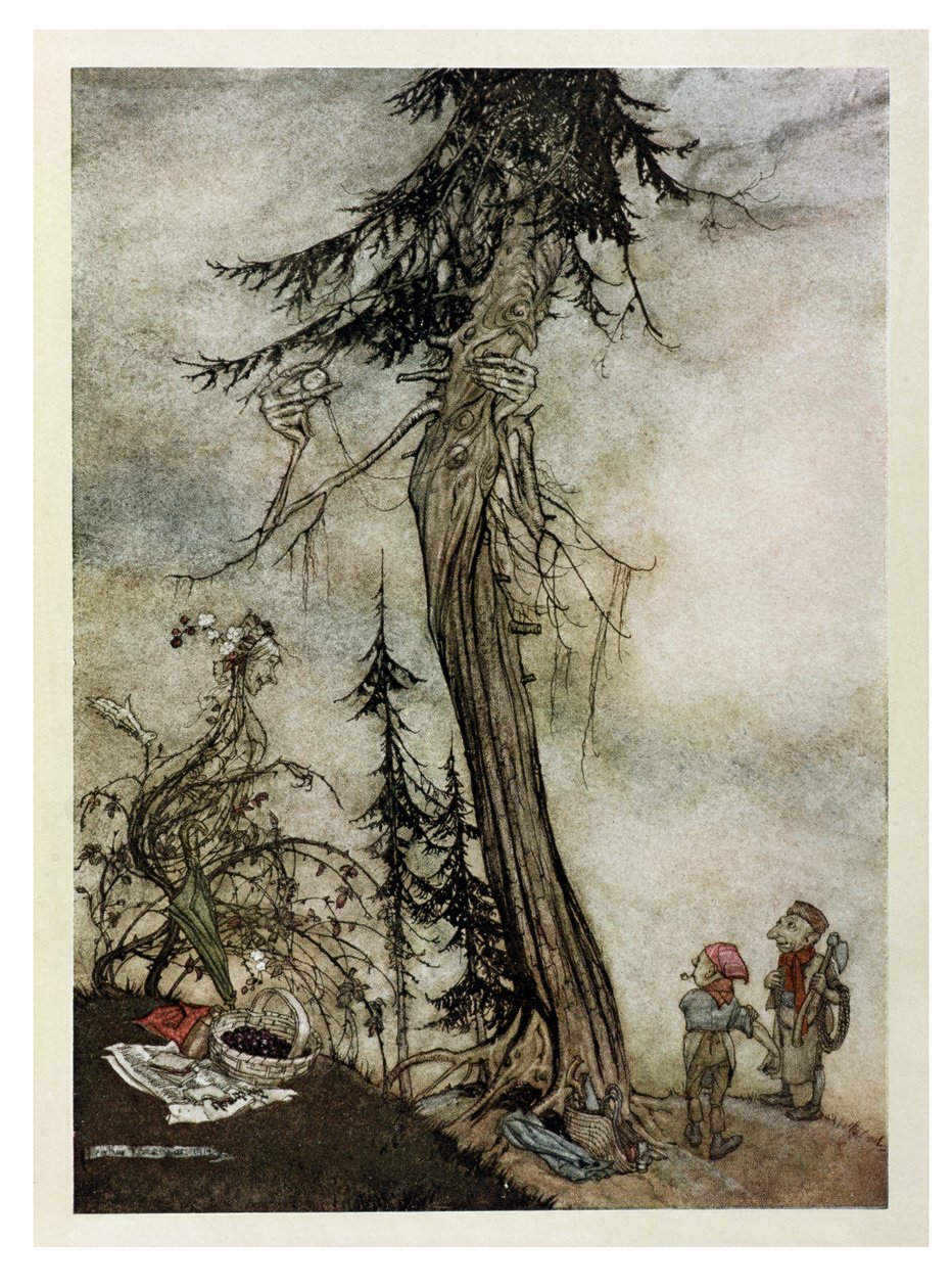 枞树和布兰堡，来自&39;伊索寓言&39;的插图，由Heinemann出版，1912年 作者 亚瑟·拉克汉姆（Arthur Rackham）