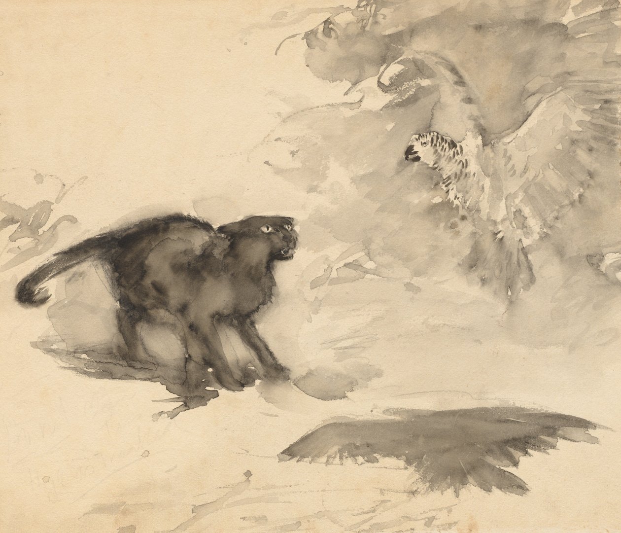 鹦鹉和猫》（埃莉诺-盖茨《晚安》素描） 作者 亚瑟·拉克汉姆（Arthur Rackham）