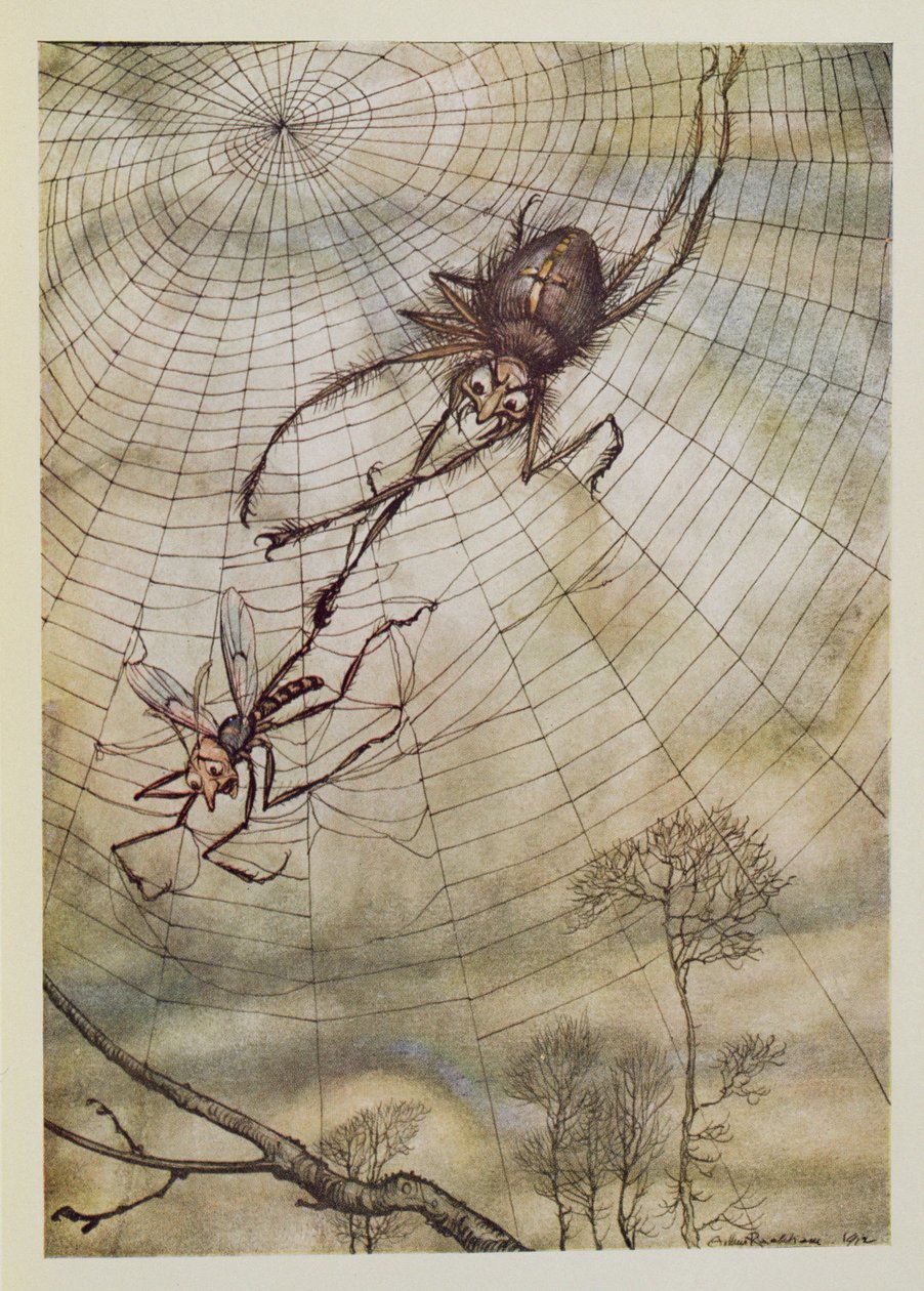 蜘蛛与苍蝇，来自&39;Aesop&39;s Fables&39;的插图，由Heinemann出版，1912年 作者 亚瑟·拉克汉姆（Arthur Rackham）