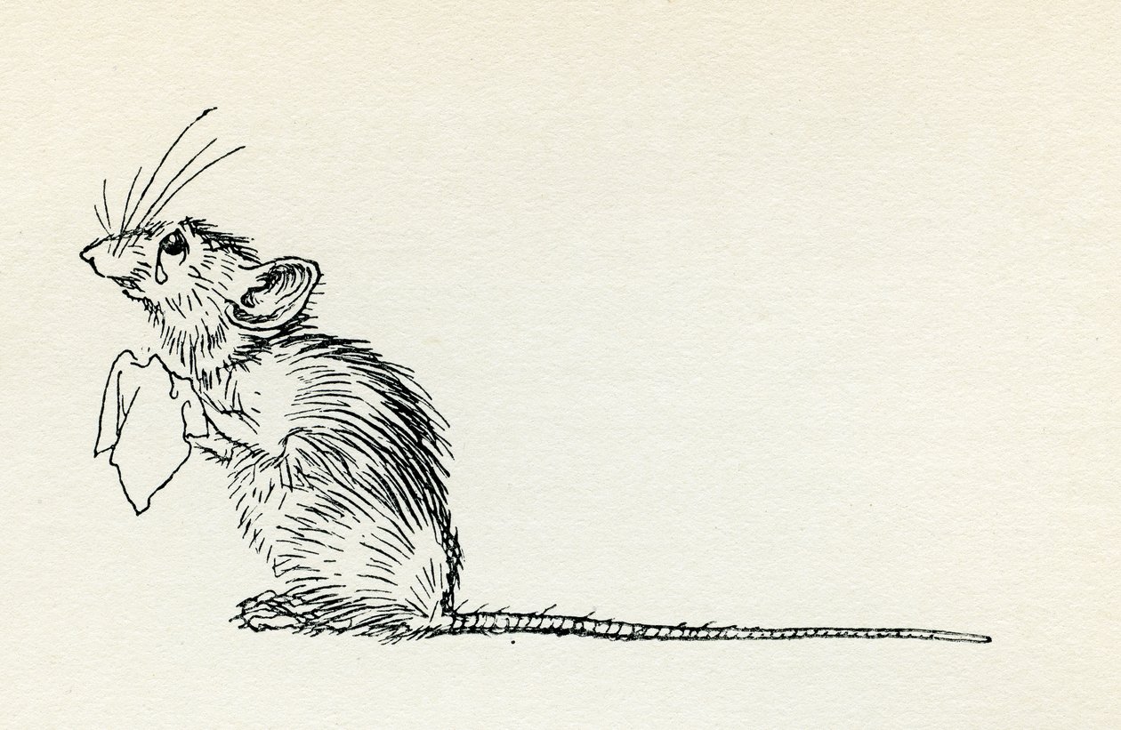 小老鼠和塔蒂老鼠 作者 亚瑟·拉克汉姆（Arthur Rackham）