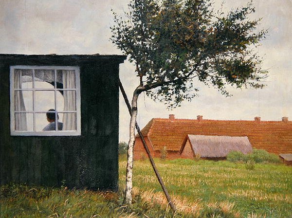 熙德恩斯(Hiddensee) 作者 阿瑟西格尔