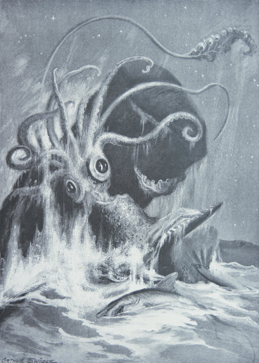 克拉肯与抹香鲸的较量 作者 亚瑟·特威德