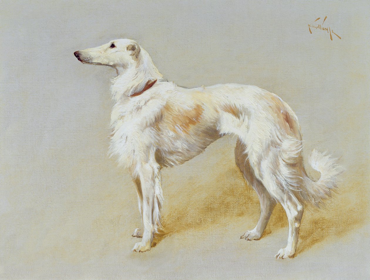 一只猎狼犬（布面油画） 作者 亚瑟·沃德尔
