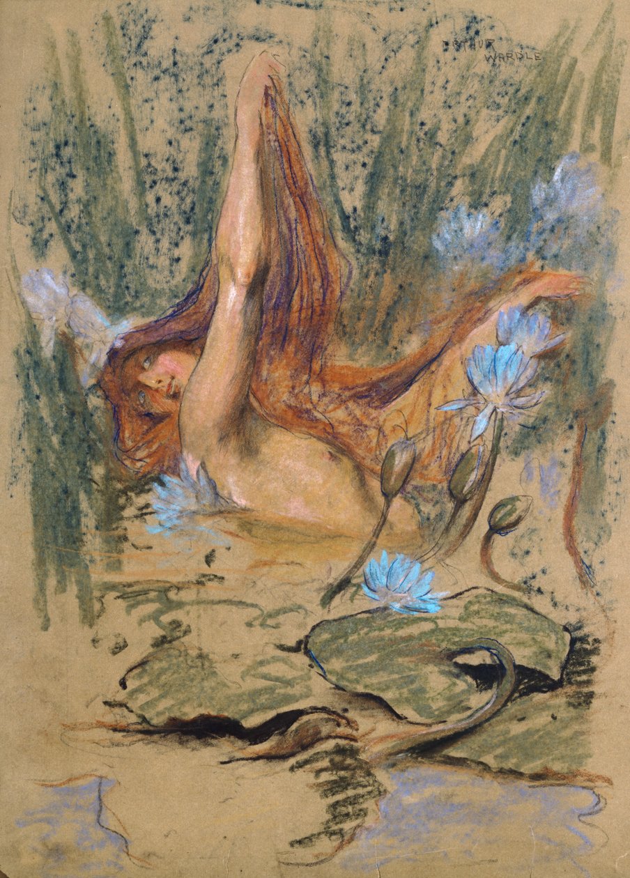 Nymphea，c.1890（纸上蜡笔、铅笔和水彩） 作者 亚瑟·沃德尔