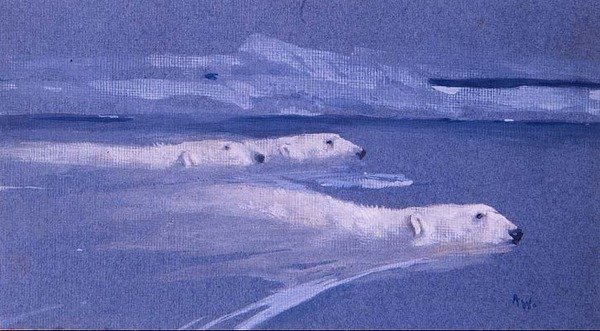 北极熊游泳（水彩画） 作者 亚瑟·沃德尔