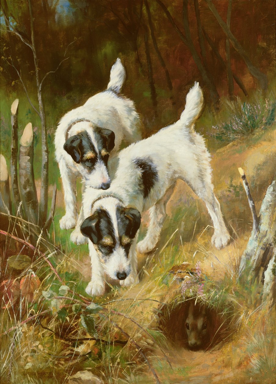 梗犬 兔子 作者 亚瑟·沃德尔