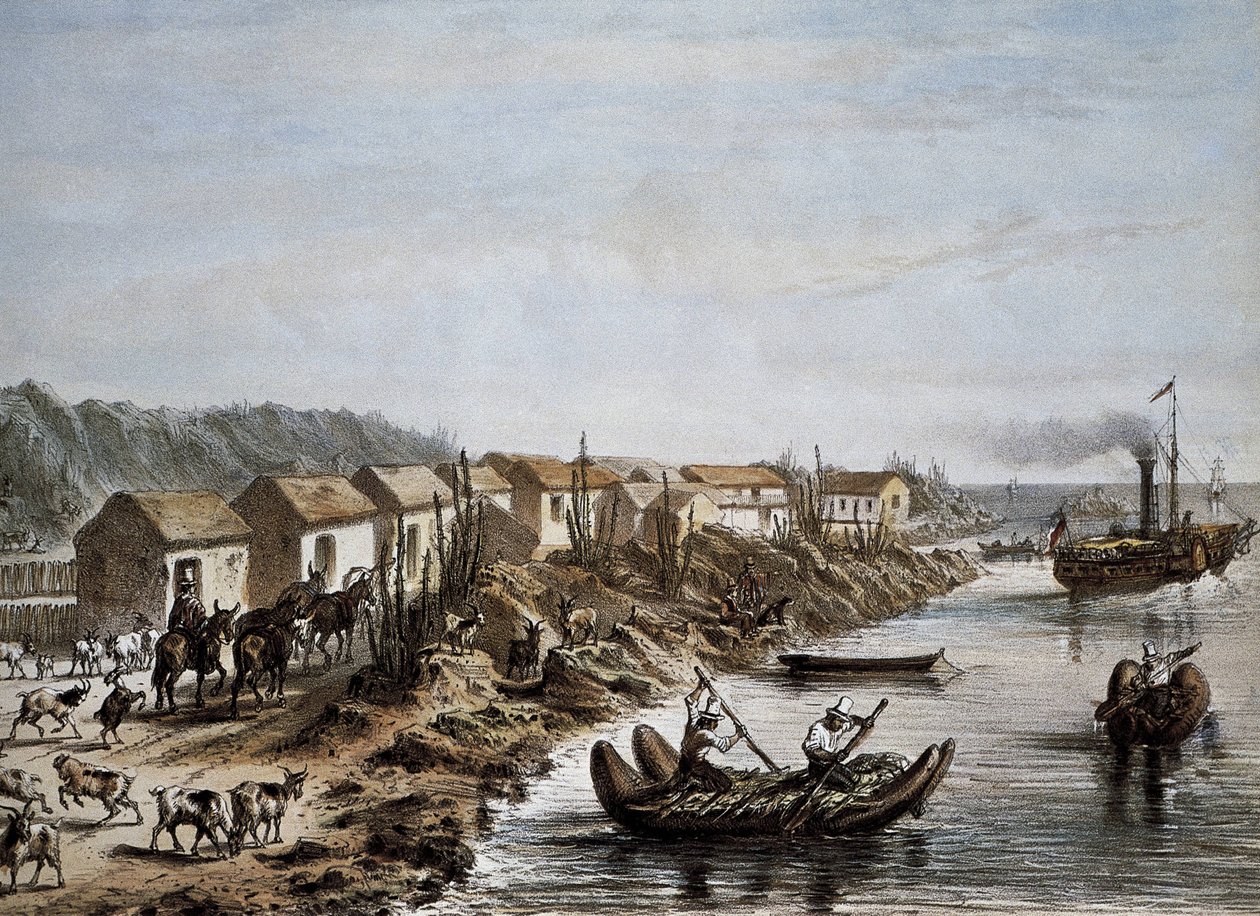 智利（1854 年）。瓦斯科港。文学。 作者 艺术家未知