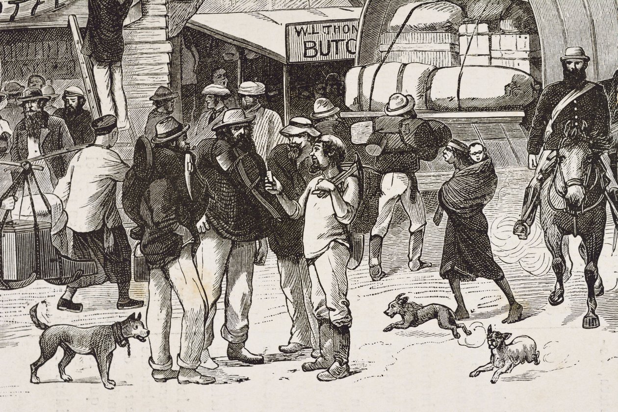 英格兰（19 世纪）。殖民（1880 年）。澳大利亚淘金者的生活。英国殖民地植物湾（建于 1788 年），最初的居民主要由罪犯转变为探矿者和商人。雕刻。私人收藏 作者 艺术家未知