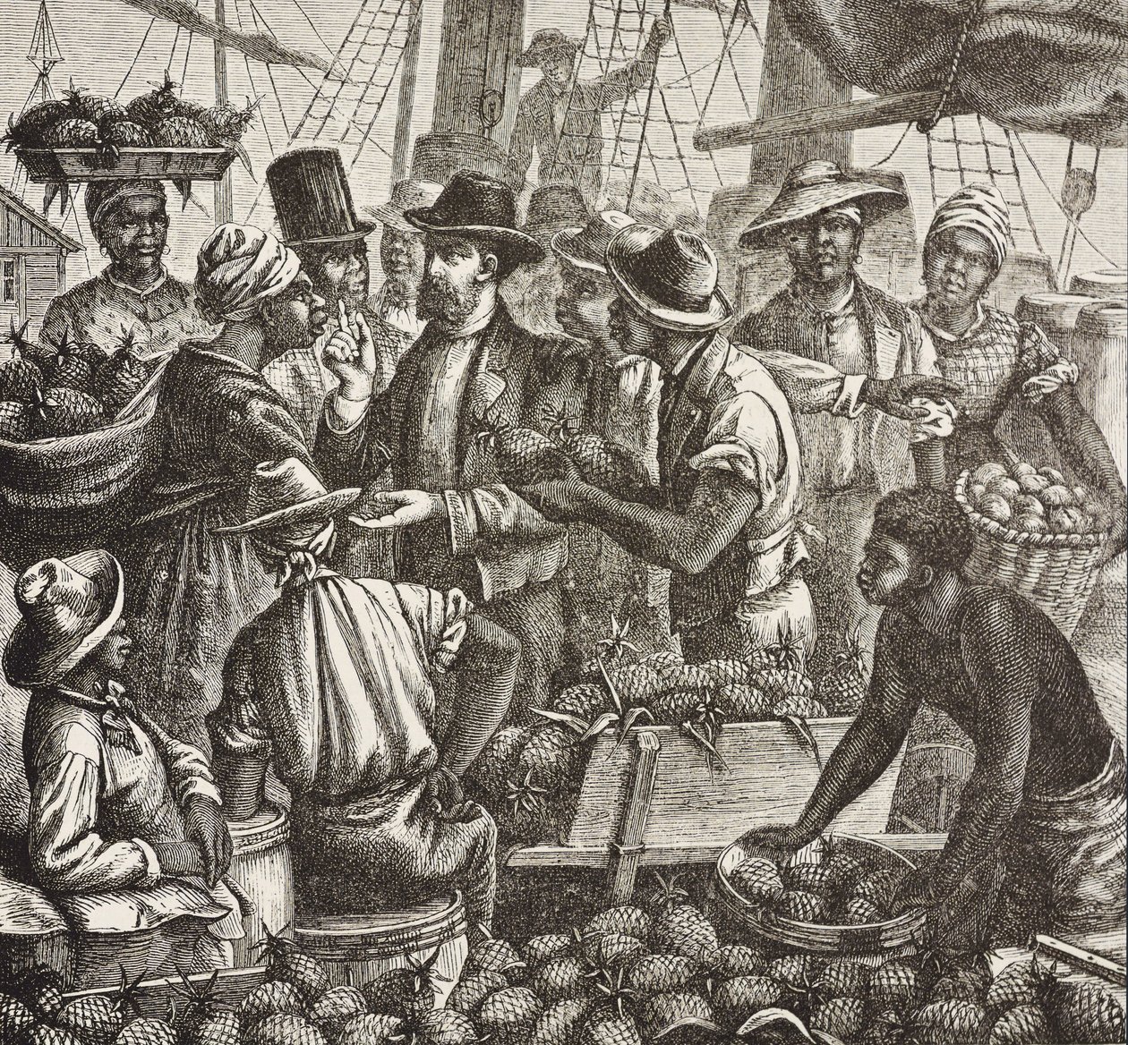 英国历史（19 世纪）。殖民（1880 年）。巴哈马出售菠萝。英国在新普罗维登斯岛的殖民地。菠萝是拿骚港最重要的出口产品之一。雕刻。私人收藏 作者 艺术家未知