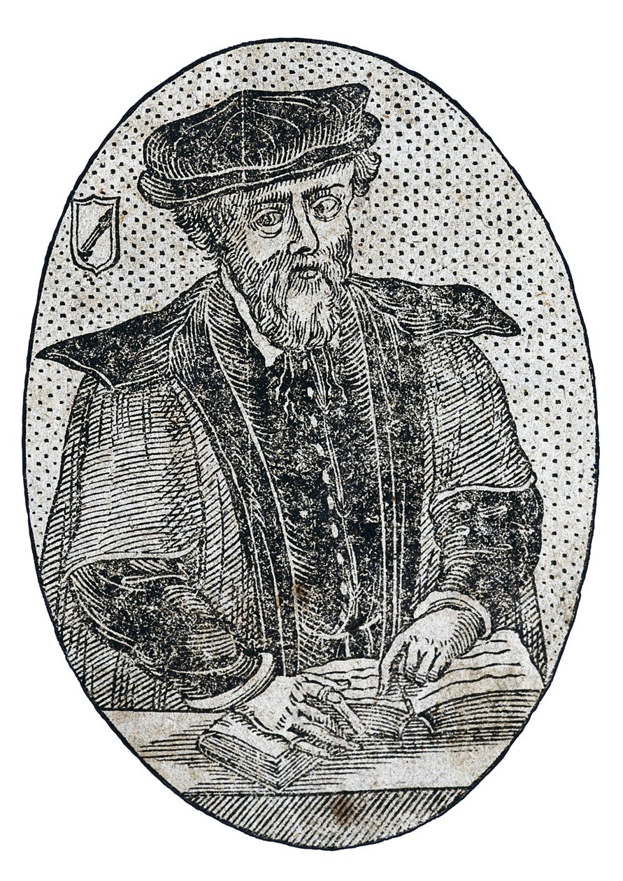 莫纳德斯，尼古拉斯（1507-1888 年）。两本书，一本是关于从我们的海外印度群岛带来的所有可用于医药的东西，另一本是关于bezaar石和escuerconera yerva。两本书，一本是关于药物的 作者 艺术家未知