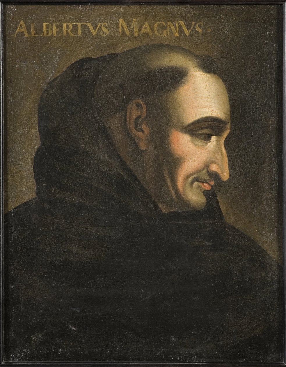 圣阿尔伯特大帝（Albrecht von Bollstadt 或 Albert de Cologne）（1200-1280 年） - Albertus Magnus（布面油画） 作者 艺术家未知