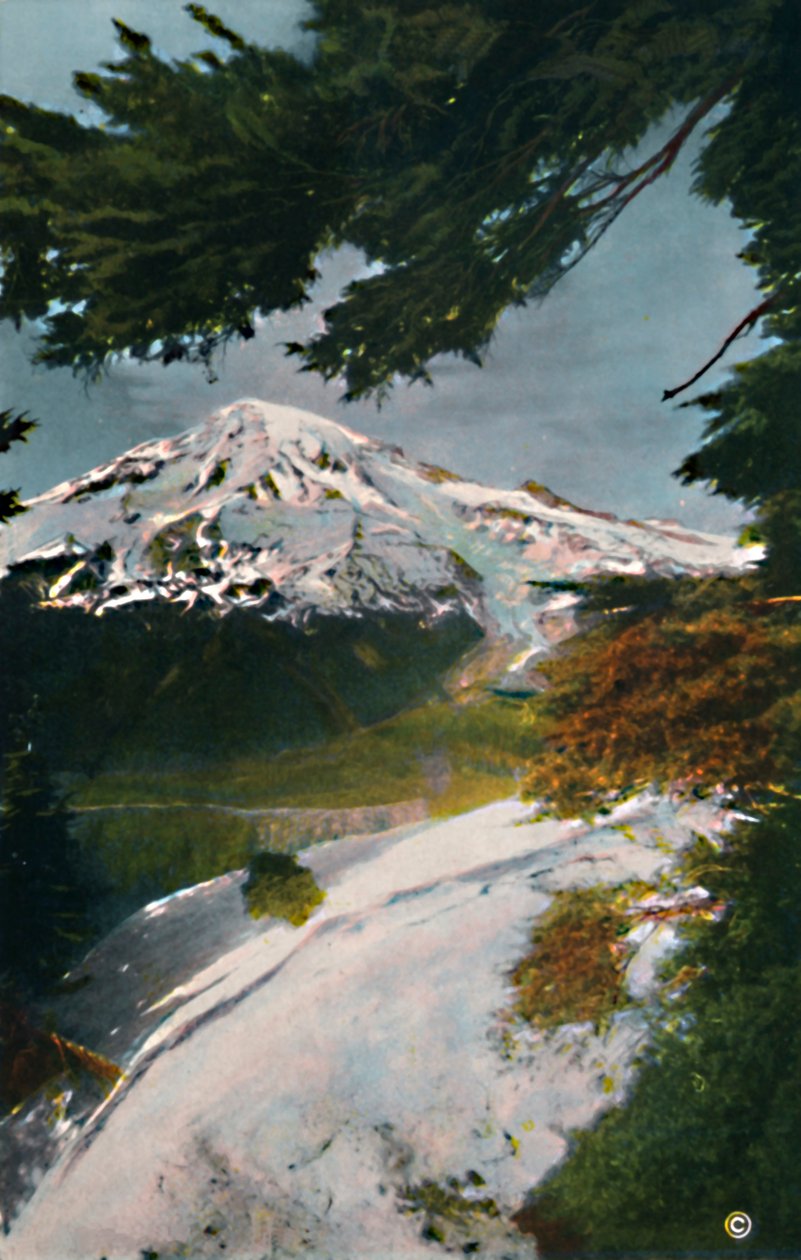 塔科马山，鹰峰，华盛顿，c1916 作者 阿萨尔·柯蒂斯（Asahel Curtis）