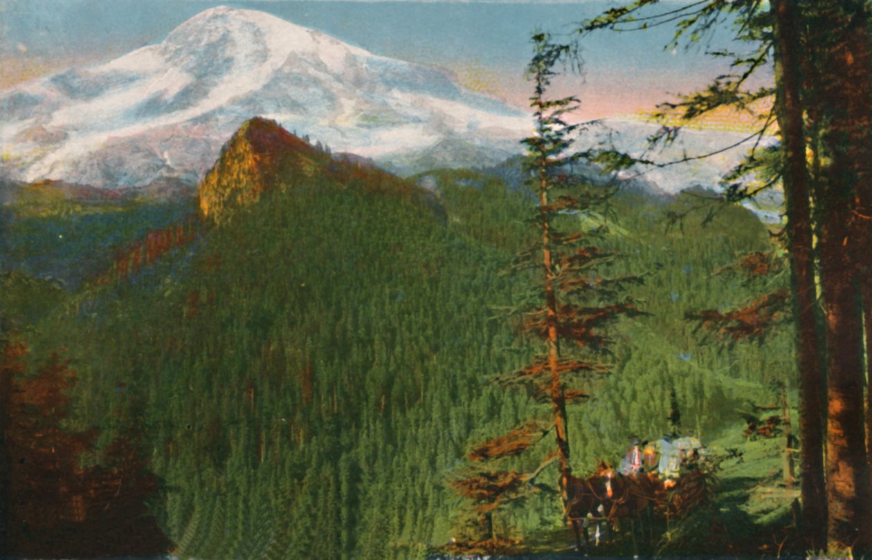 Rickseeker点的路，远处的雷尼尔山，华盛顿，c1916 作者 阿萨尔·柯蒂斯（Asahel Curtis）