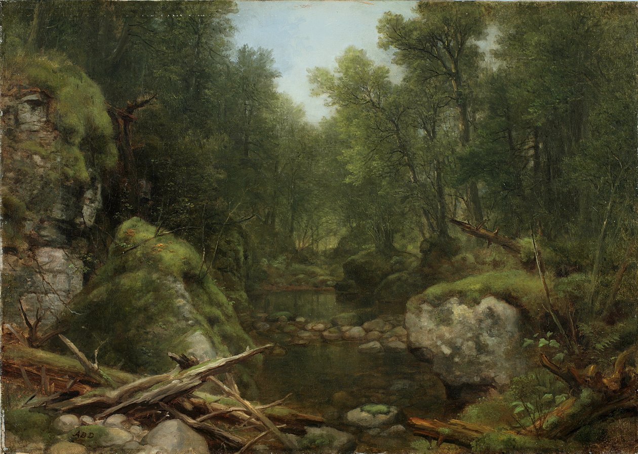 Chapel Pond Brook，Keene Flats，Adirondack Mountains，NY，1870 作者 阿舍·布朗·杜兰德