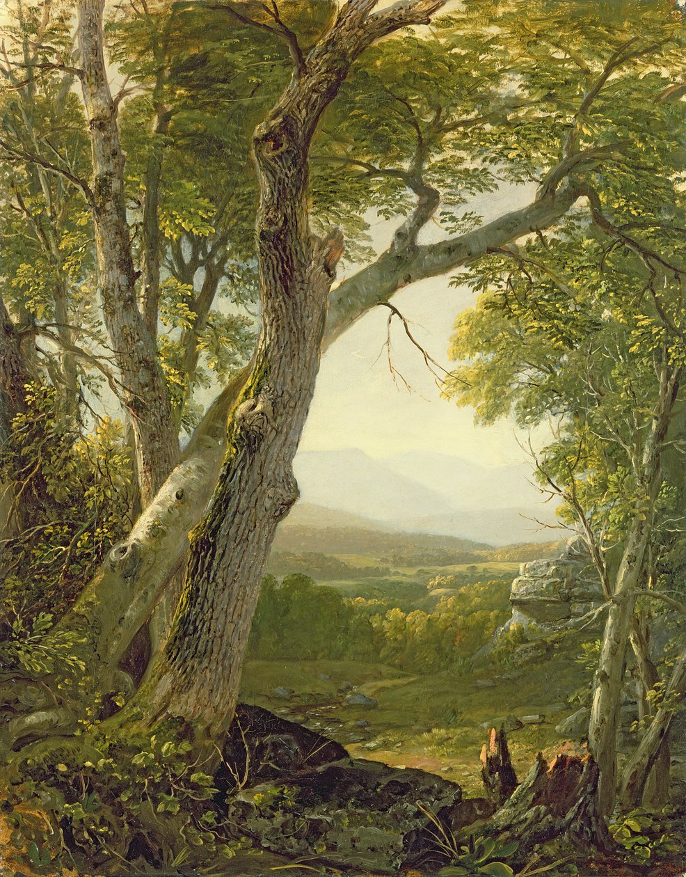 Shandaken Ridge，纽约金斯敦，c.1854 作者 阿舍·布朗·杜兰德