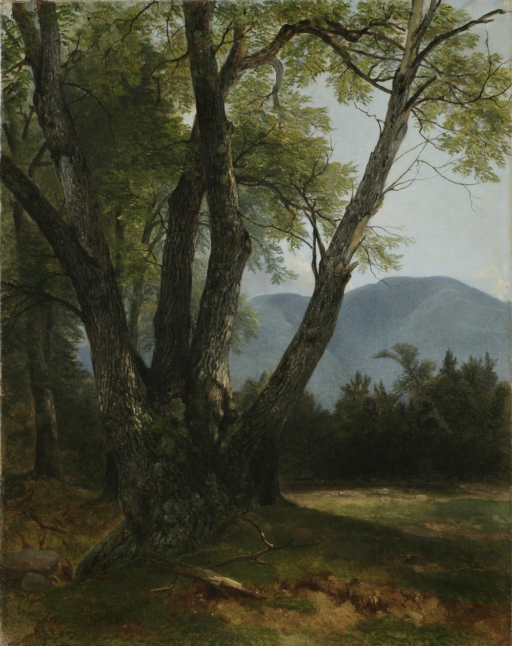 Shandaken，纽约州阿尔斯特县，1854年 作者 阿舍·布朗·杜兰德