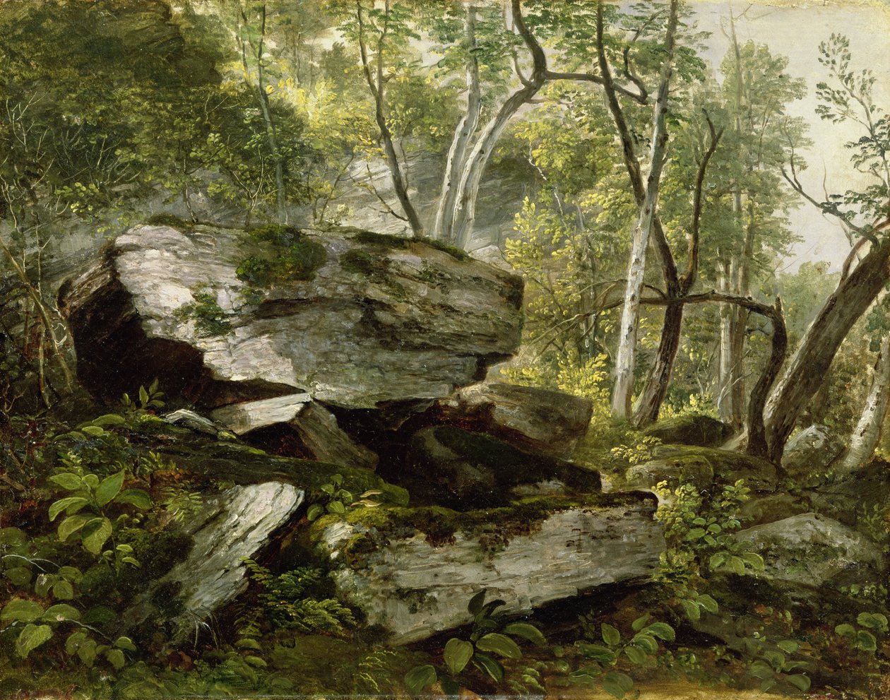 研究自然：岩石和树木，c.1856 作者 阿舍·布朗·杜兰德