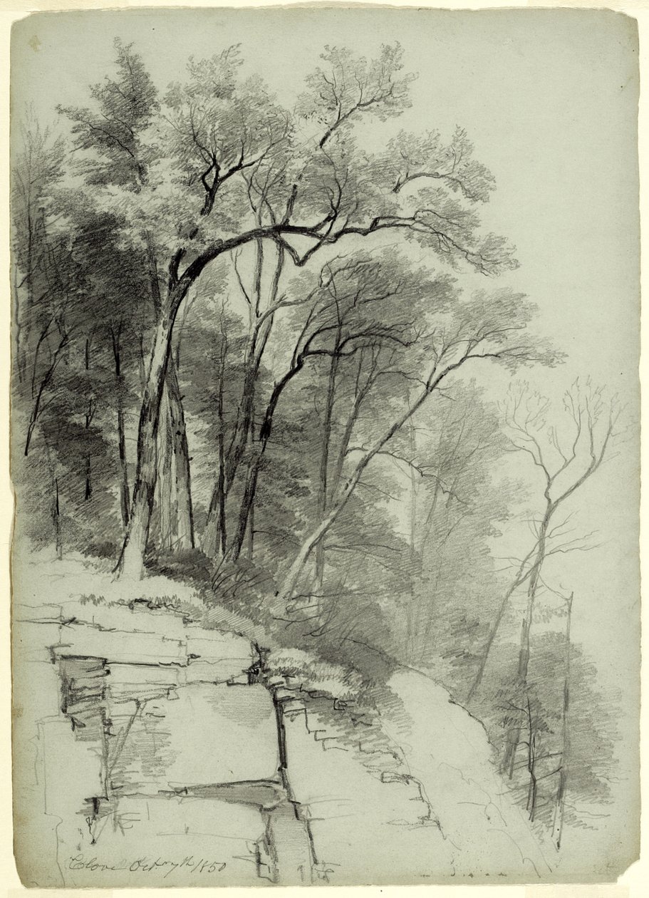 树木和岩石的研究，Catskill Clove，纽约，1850年（灰绿色纸上的石墨） 作者 阿舍·布朗·杜兰德