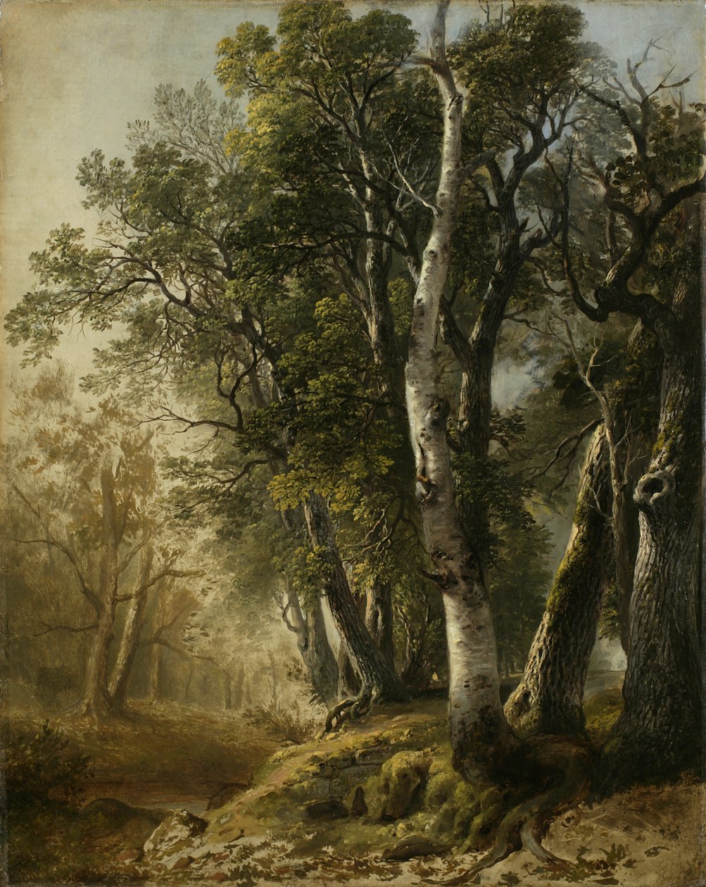 纽约州金斯敦Brookside的树木，1846年（亚麻油） 作者 阿舍·布朗·杜兰德