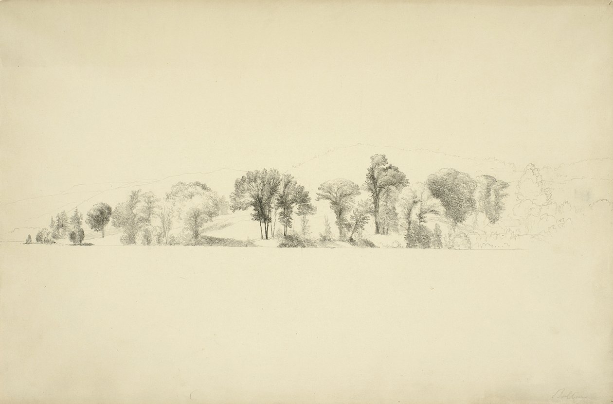 树木在乔治湖岸边，博尔顿，纽约，1863年（石墨在纸上） 作者 阿舍·布朗·杜兰德