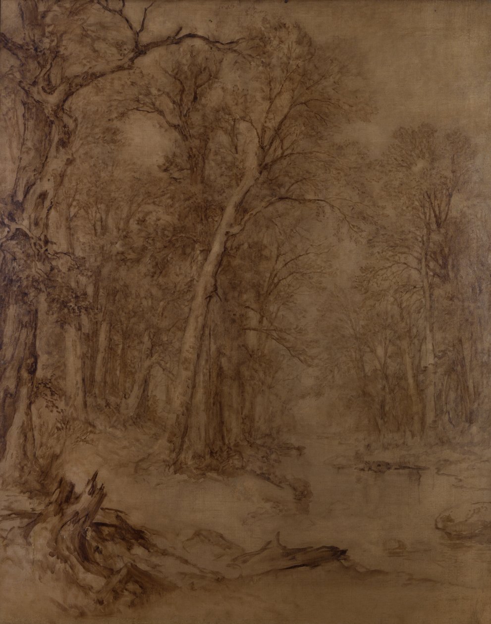 林地布鲁克，初步研究，1859年（棕褐色油画布） 作者 阿舍·布朗·杜兰德
