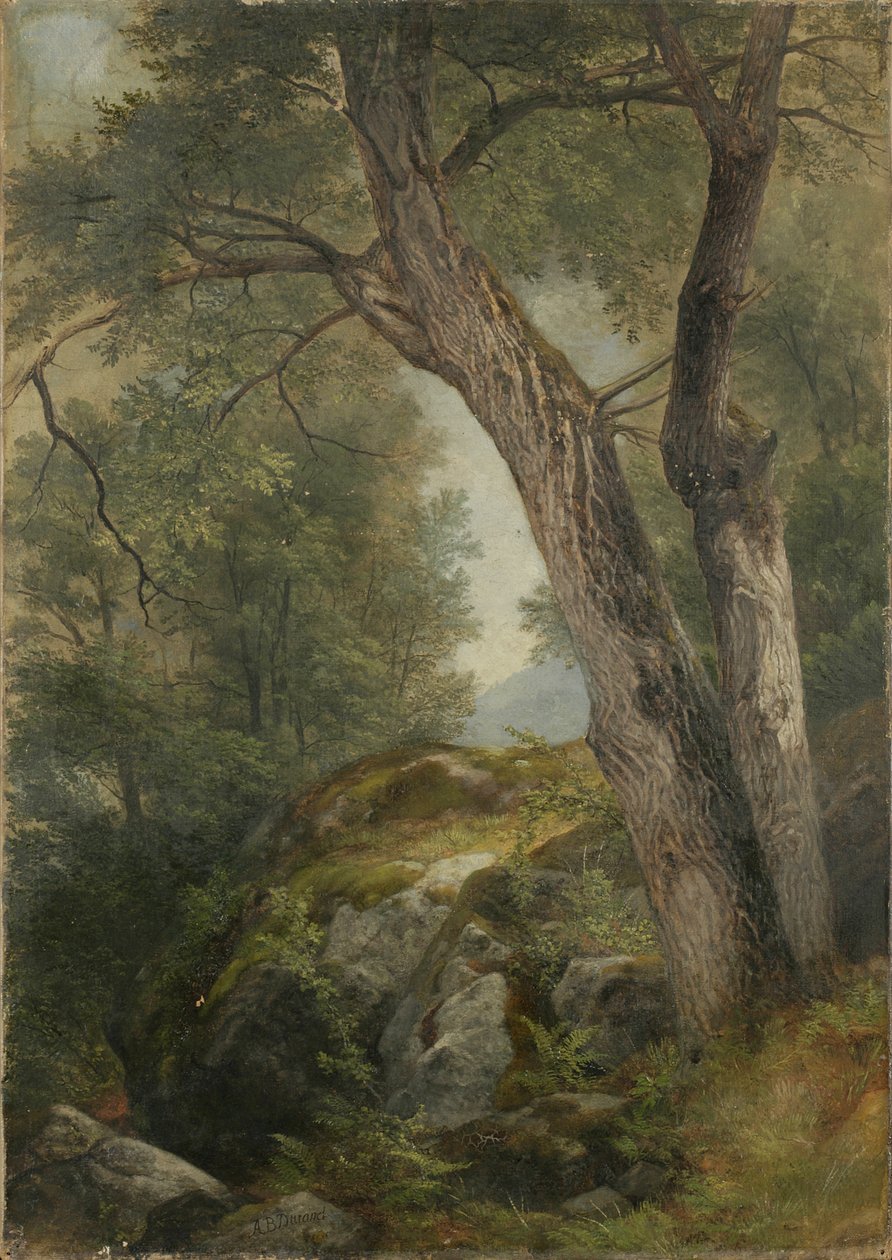 胡桃树在海牙，乔治湖，纽约，1862年 作者 阿舍·布朗·杜兰德