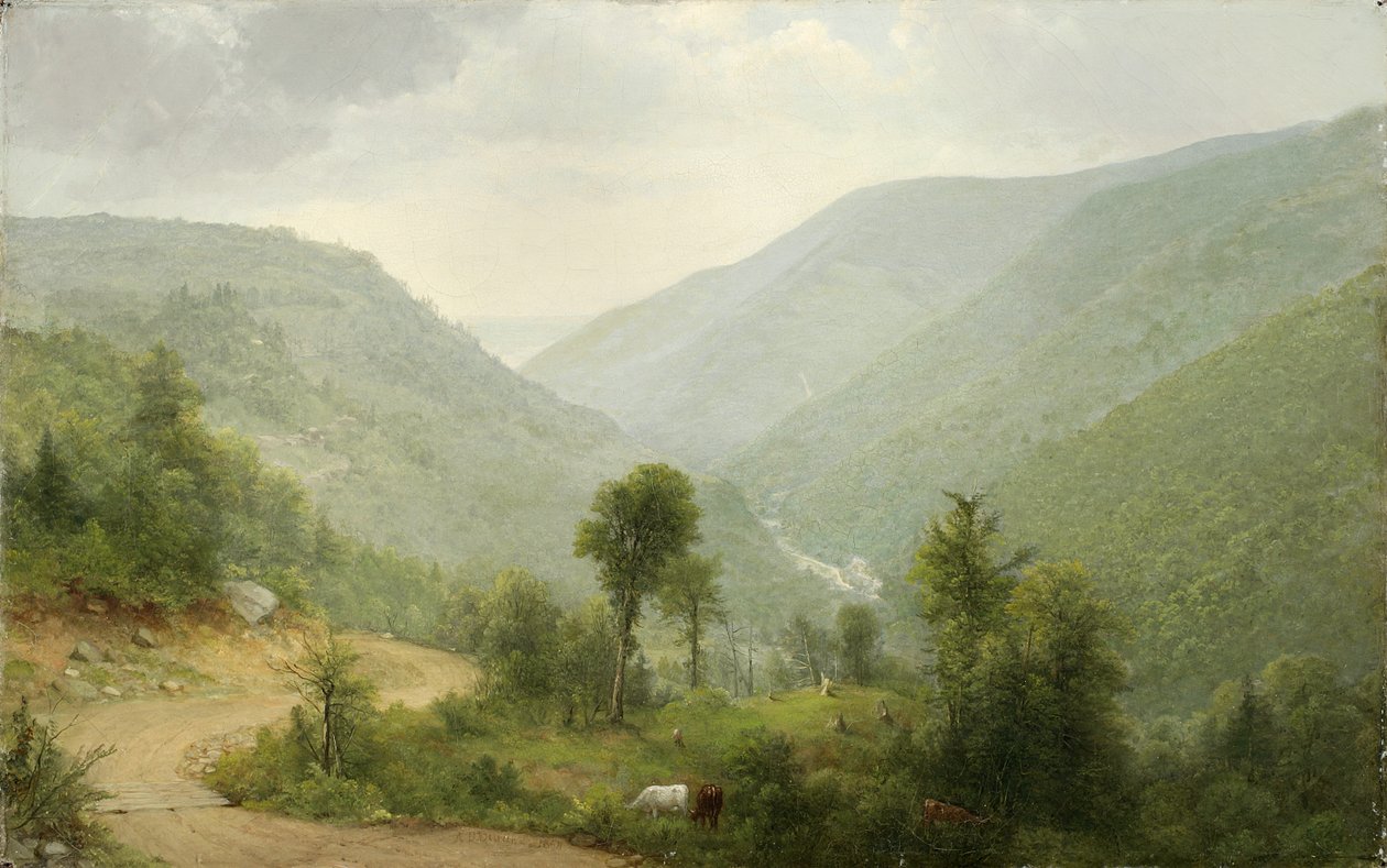纽约Catskill Clove，1864年 作者 阿舍·布朗·杜兰德