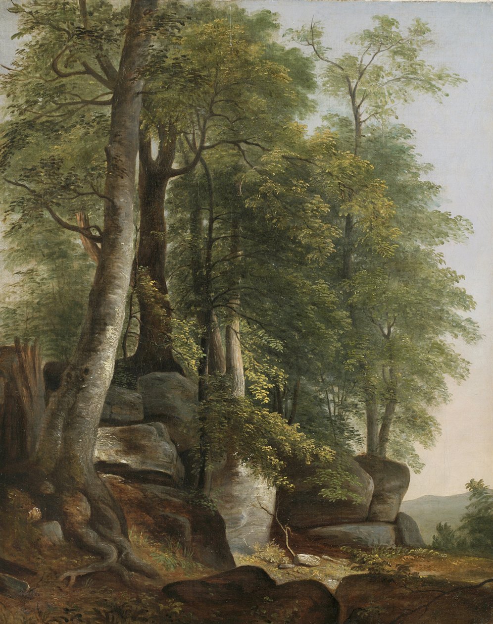 与岩石和树的风景，c.1845 作者 阿舍·布朗·杜兰德
