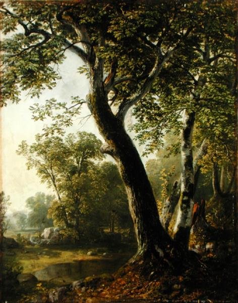 纽约阿尔斯特县马布尔镇的研究，约1845年（布面油画 作者 阿舍·布朗·杜兰德