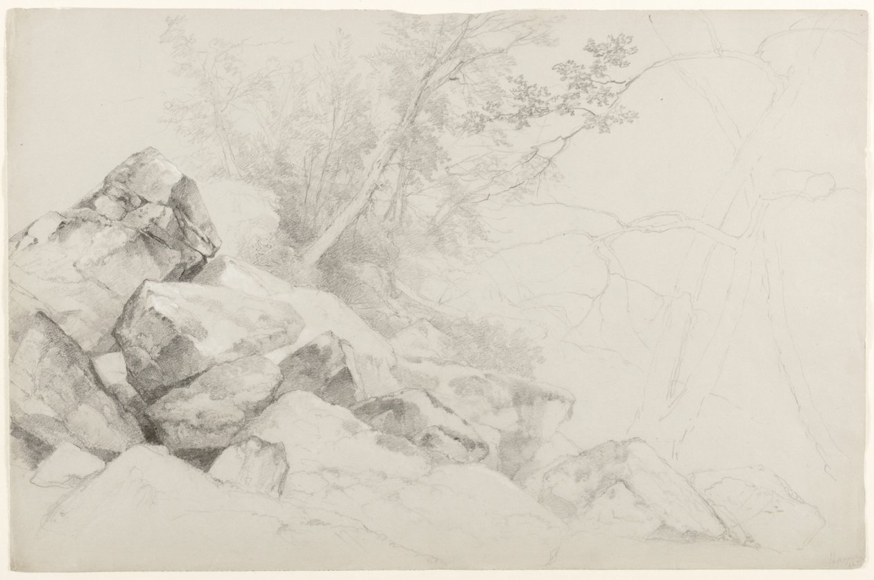 研究与树木的岩石，海牙，乔治湖，纽约，1862年（石灰在灰纸上） 作者 阿舍·布朗·杜兰德
