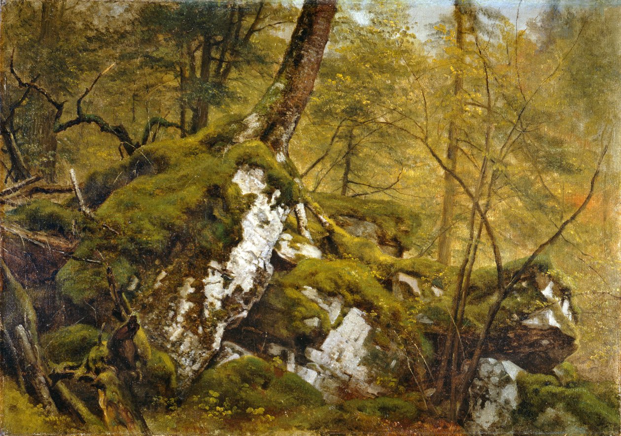 研究木材内部，c.1855 作者 阿舍·布朗·杜兰德