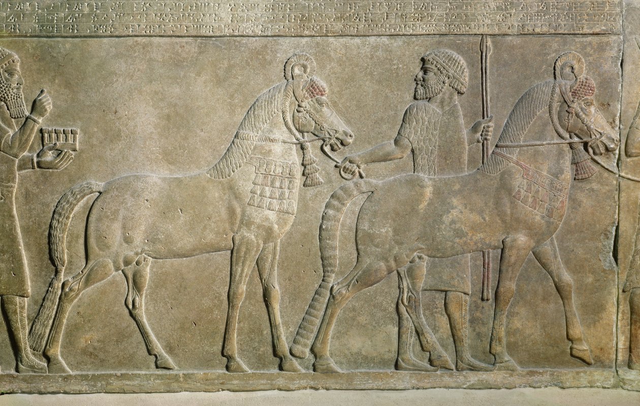 从伊拉克Khorsabad的Sargon II宫（石膏）描绘萨尔贡二世支流的救济 作者 亚述人