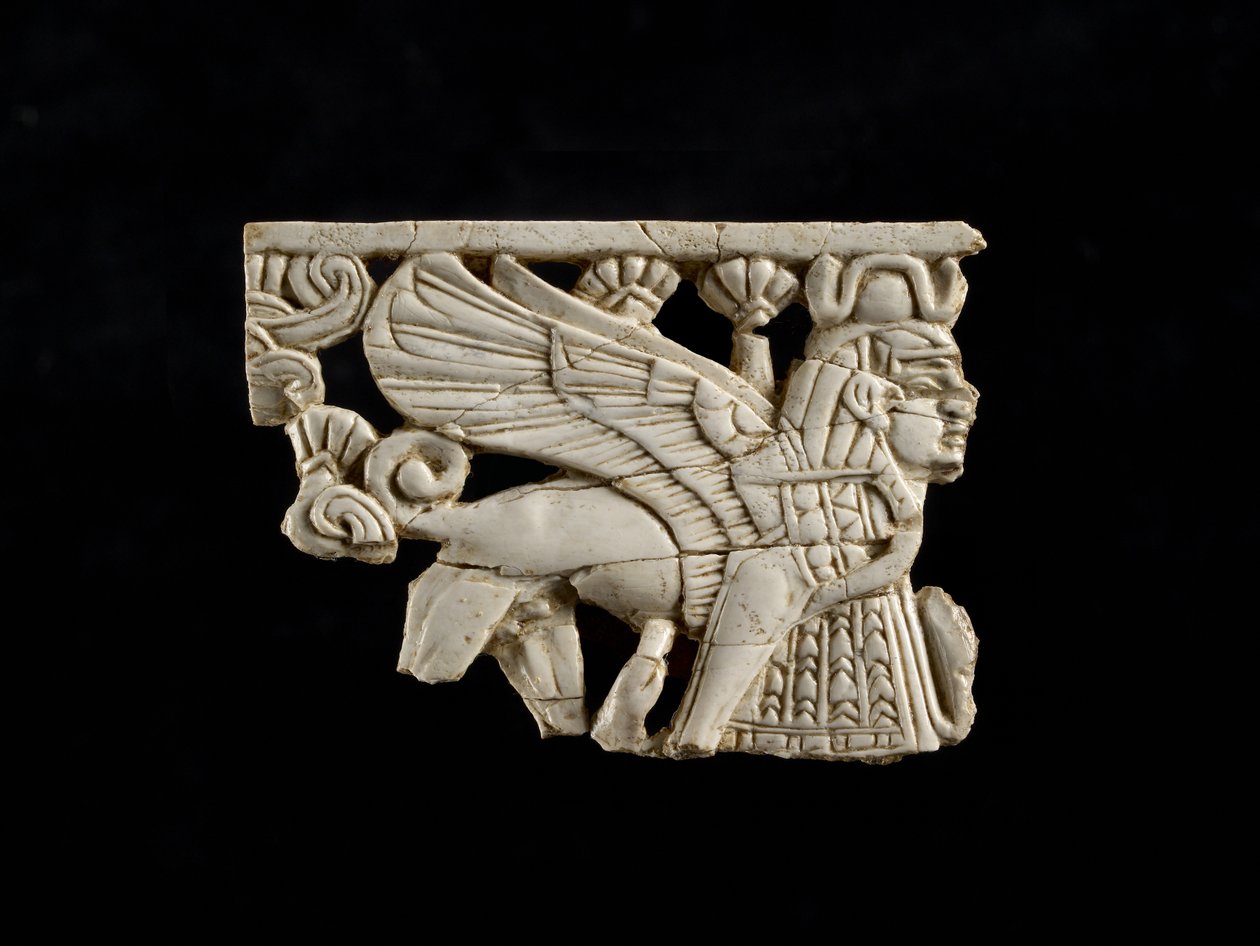 狮身人面像片段来自堡垒Shalmaneser，Nimrud，亚述，公元前8世纪 作者 亚述学校