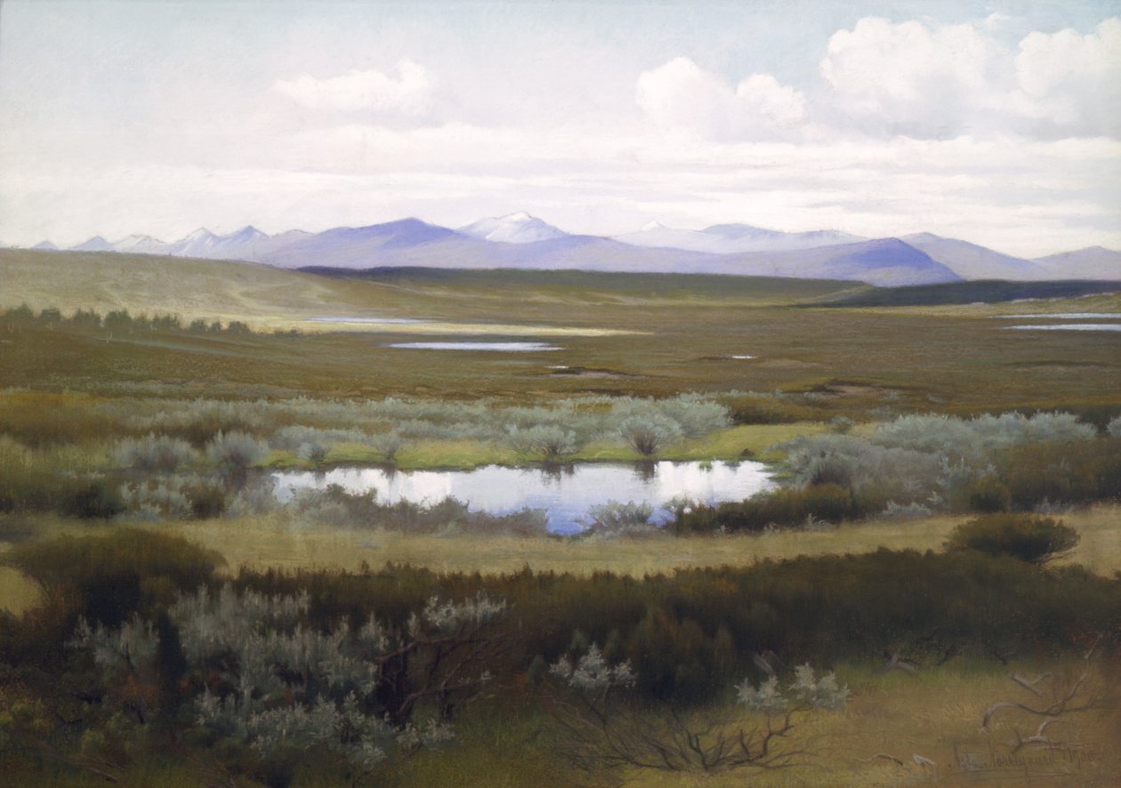  作者 阿斯塔·诺雷加德（AstaNørregaard）
