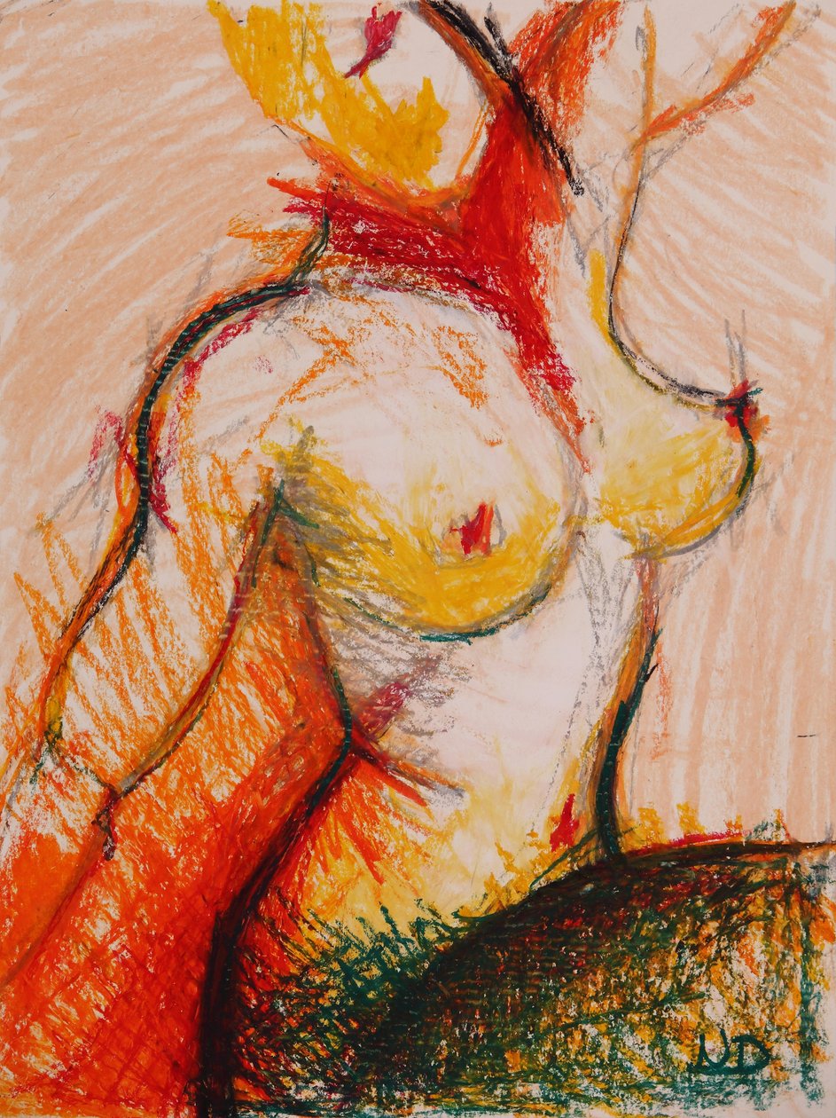 海胆 作者 纳丁沙克