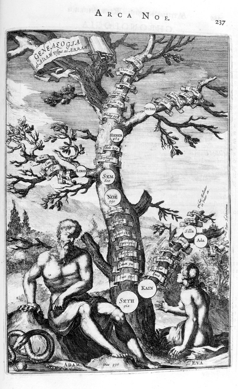 亚当的家谱树，1675年。 作者 阿塔纳修斯·基歇尔